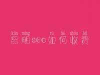 昆明seo如何收费_地址_电话