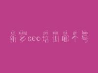 新乡seo培训哪个号，网站优化如何优化