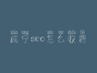 咸宁seo怎么收费_地址_电话