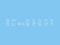 保山seo收费要好多_服务怎么样