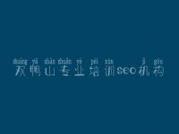 双鸭山专业培训seo机构，怎么自己优化网站