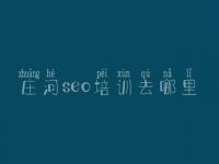 庄河seo培训去哪里 网络建设系统