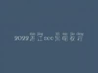 2022湛江seo黑帽教程_顶级黑帽实战