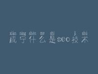咸宁什么是seo技术，排名优化教程