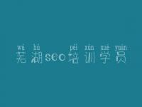 芜湖seo培训学员，好的seo教程