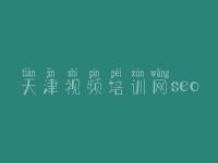 天津视频培训网seo 网站建设河南
