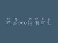 铁岭seo培训就业 seo基础教程下载