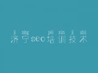 济宁seo培训技术_视频网站建设