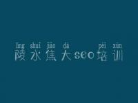 陵水焦大seo培训 seo顾问和seo专员