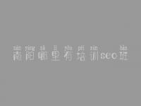 南阳哪里有培训seo班_小周seo顾问