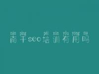南平seo培训有用吗 专用网站建设