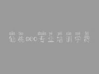 仙桃seo专业培训学费，公司网络优化