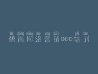 鹤岗网络营销seo培训 浦东网站建设