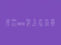 乐山seo方法培训班 优化网站软件