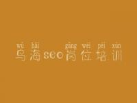 乌海seo岗位培训_多网站建设