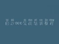 白沙seo实战培训教程，企业网站建设推广