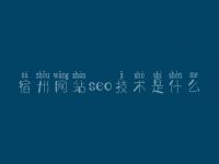 宿州网站seo技术是什么_网站建设人员