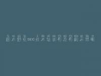 图木舒克seo技术培训有没有周末班呢，网站seo优化视频教程