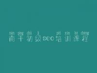 南平初级seo培训课程_网站产品怎么优化