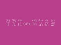 平顶山seo网站搭建_seo发包技术出售