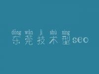 东莞技术型seo，建设公司网站