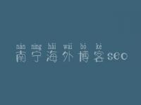 南宁海外博客seo_建设企业网站公司