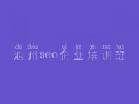 池州seo企业培训班_seo快速排名教程