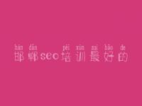 邯郸seo培训最好的_网站网站建设网站