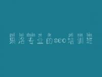 果洛专业的seo培训班 自己人网站建设