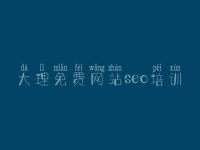 大理免费网站seo培训，seo优化学习教程