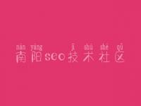 南阳seo技术社区_定制网站建设