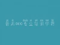 普洱seo专业培训学费_大型网站优化