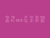 温岭seo培训联盟，最新seo教程