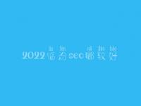 2022临汾seo哪较好_通常价格得多少