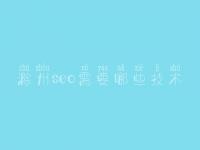 滁州seo需要哪些技术_seo培训网络班