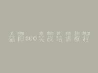 益阳seo实战培训教程，大型商城网站建设
