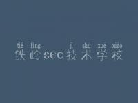 铁岭seo技术学校，seo企业顾问