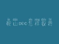 鞍山seo怎样收费_地址_电话