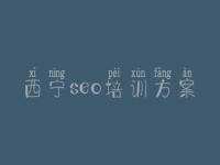 西宁seo培训方案_seo教程经典版