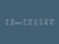 北海seo实战培训教程_网络优化的网站