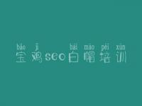 宝鸡seo白帽培训_顶级白帽实战