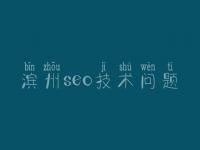 滨州seo技术问题_网站建设新手