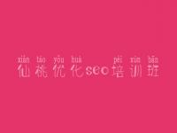 仙桃优化seo培训班 seo优化视频教程下载