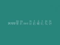 2022肇庆seo到底哪比较好_大概费用得好多