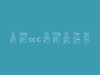 资阳seo费用需好多_价格_服务