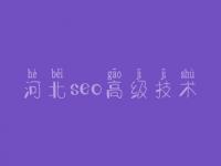 河北seo高级技术 建设网站的