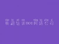 巢湖培训seo网络公司 优化一个网站的步骤