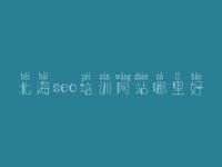 北海seo培训网站哪里好 免费网站优化工具