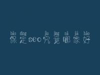 保定seo究竟哪家好_通常学费要多少