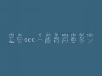 延安seo一般费用要多少_收费标准_服务